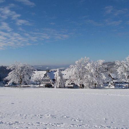 Berghotel Lenneplaetze Winterberg Exterior photo