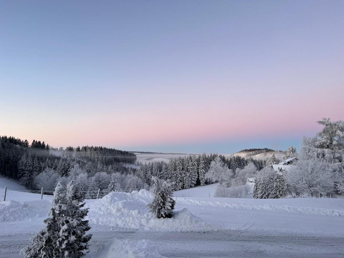 Berghotel Lenneplaetze Winterberg Exterior photo